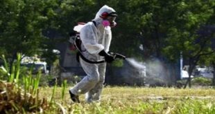 Κουφάλια:Ψεκασμοί για κουνούπια-Δευτέρα 01/08-Οδηγίες προς τους κατοίκους