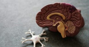 Εβδομάδα για τον καρκίνο του εγκεφάλου και χαμηλόβαθμα γλοιώματα παιδιατρικού τύπου